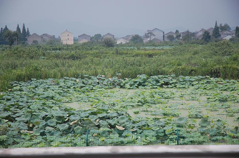 01-Fahrt Nanjing-Hangzhou_057.JPG
